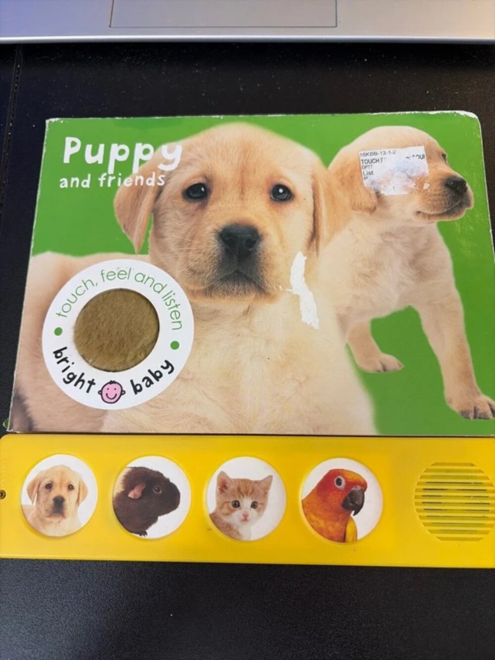 Puppy and friends touch and feel plus sound book